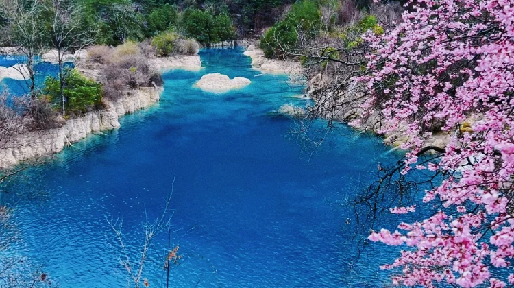 8-day 7-night · Private Tour · Chengdu + Jiuzhaigou + Bipenggou + Dujiangyan