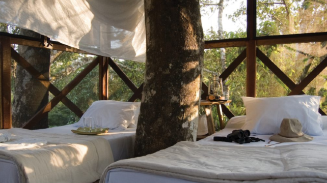 馬爾多納多港+7