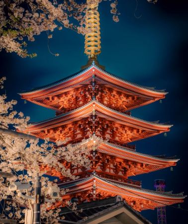 5日4晚 • 日本東京迪士尼樂園暢玩＋富士山＋箱根園森林＋蘆之湖海賊船＋隱世合掌村＋河口湖大石四季公園