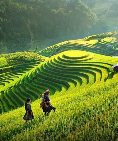 2D1N • Sapa 2 Days Trek with 1 Night Homestay