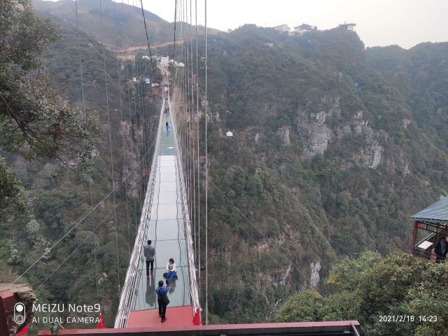 屏山悬索玻璃桥旅行图片 1