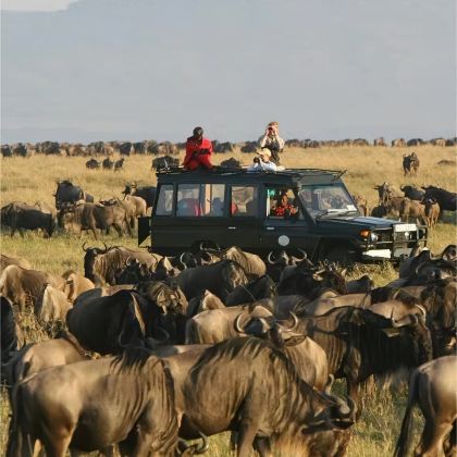 肯尼亚11日9晚私家团