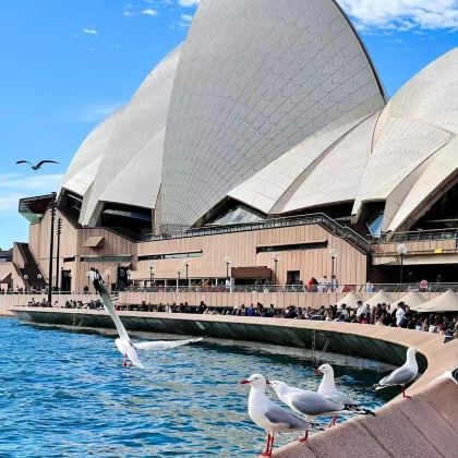 澳大利亚悉尼+凯恩斯+黄金海岸+墨尔本11日10晚私家团