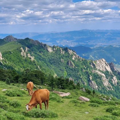 山西芦芽山旅游度假区2日1晚跟团游