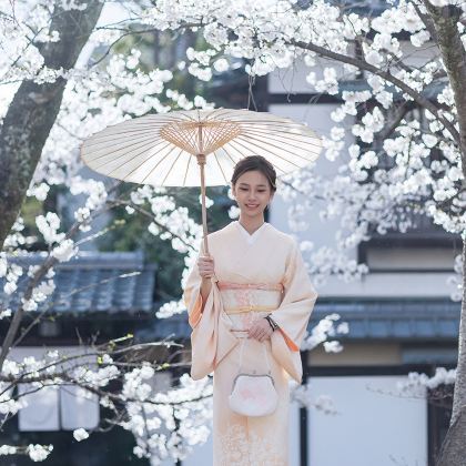 日本东京+富士山+大阪+京都+奈良7日6晚拼小团