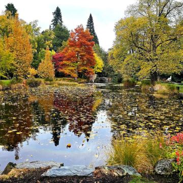 新西兰北岛+南岛+皇后镇+霍比特村13日10晚自由行
