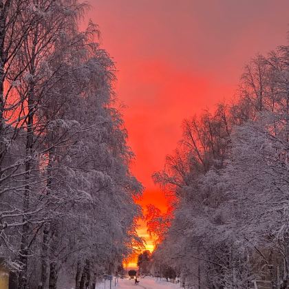 芬兰赫尔辛基+罗瓦涅米+凯米+列维7日6晚私家团