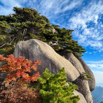 婺源篁岭景区+黄山风景区+千岛湖景区5日4晚跟团游