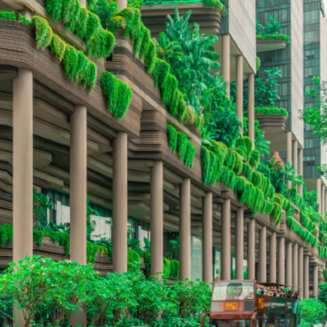 新加坡7日6晚私家团