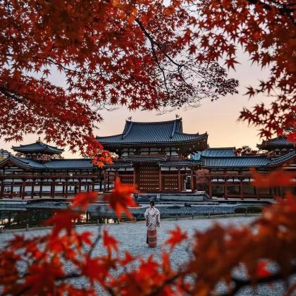 日本名古屋+北海道札幌16日15晚拼小团