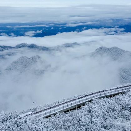 重庆金佛山2日1晚自由行