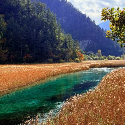 成都+四姑娘山景区+九寨沟+黄龙风景名胜区6日5晚私家团