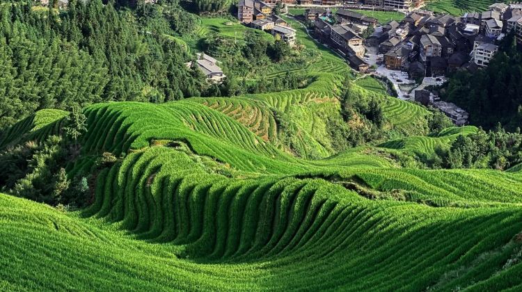 6D5N · Group Tours ·  Include all tips + China's Most Beautiful Scenic Route: Guilin Li River 4-star Cruise + Longji Rice Terraces include round-trip cable car + Yangshuo