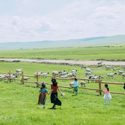 锡林郭勒盟+乌兰布统旅游区+木兰围场3日2晚私家团