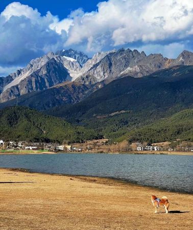 2D1N • Lijiang: Unique Naxi Cultural Experience Tour in Wenhai Village + The Ancient Town of Shuhe