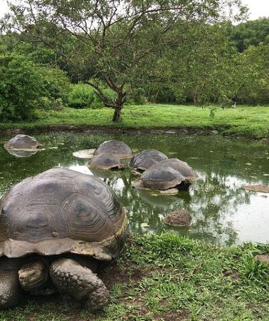 6D5N • 6 Day Galapagos Island Hopping Tour at Santa Fe and Los Tuneles