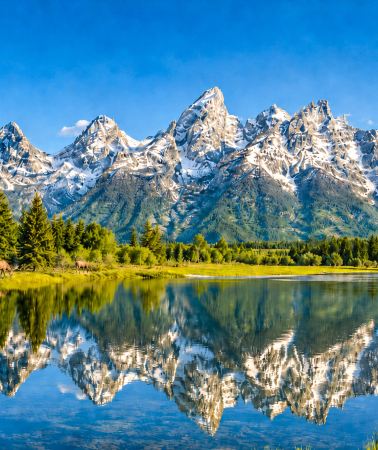7D6N • Los Angeles + Las Vegas + Yellowstone National Park