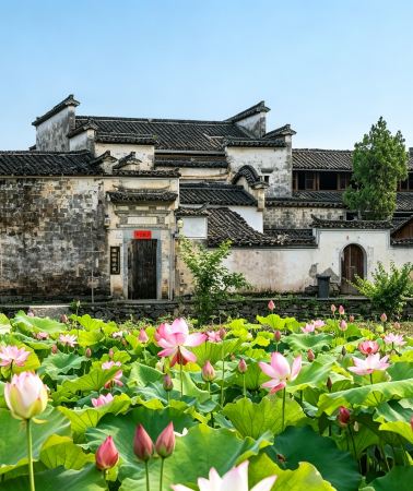 5D4N • Explore four iconic sites: Huangshan Scenic Area + Hongcun Village + Xidi + Huizhou Ancient Town
