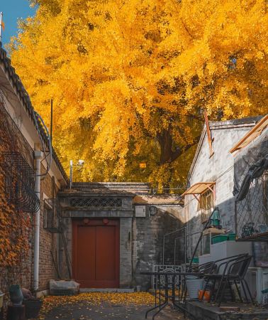 6D5N • Autumn Getaway to Beijing · Designated international brand: Carnival Xiamen · Enjoy a full day at Universal Beijing Resort, Forbidden City · Summer Palace · Temple of Heaven · The Great Wall