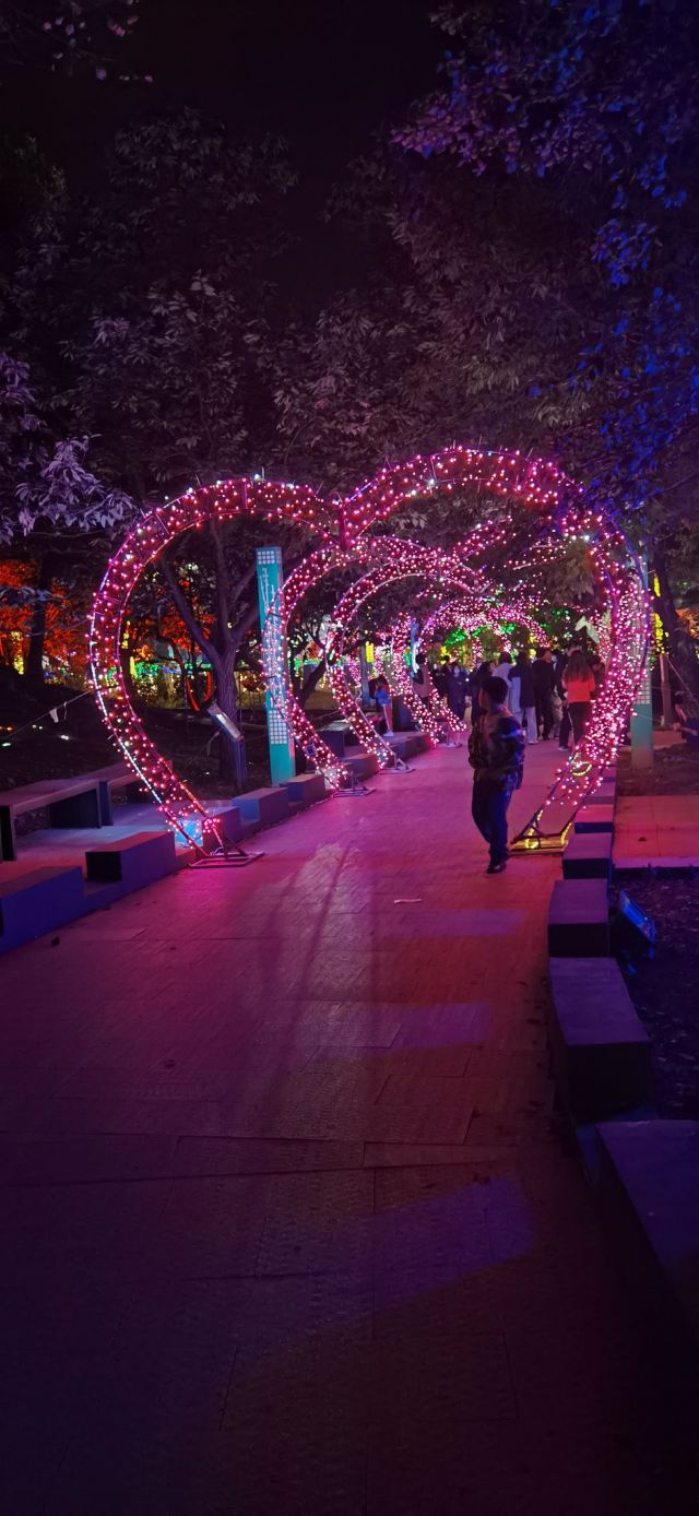 北京生存岛实践基地旅行图片 1