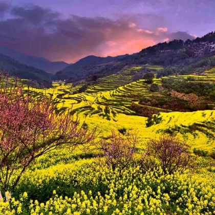 婺源+宏村景区3日2晚跟团游