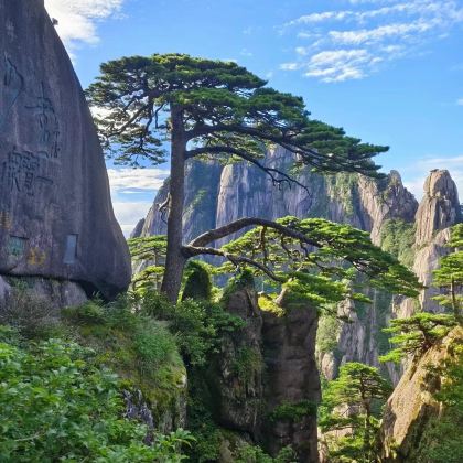 黄山+西递+宏村5日4晚私家团