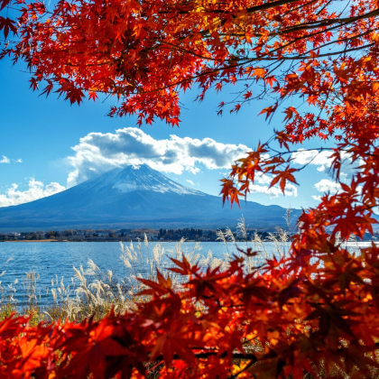 日本大阪+奈良+京都+东京+富士山+箱根8日7晚私家团