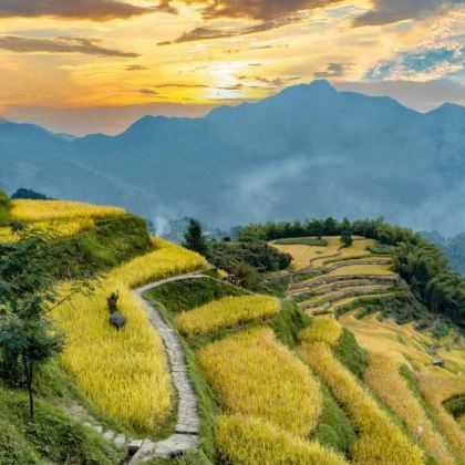 丽水缙云仙都景区+云和梯田景区+古堰画乡旅游度假区3日私家团