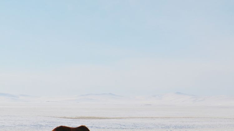 7-Day Hulunbuir + Genhe + Manzhouli