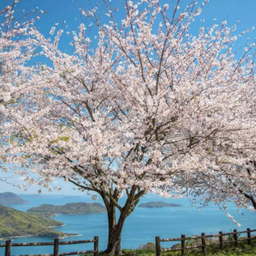 日本名古屋+伊势市+白川乡5日4晚私家团