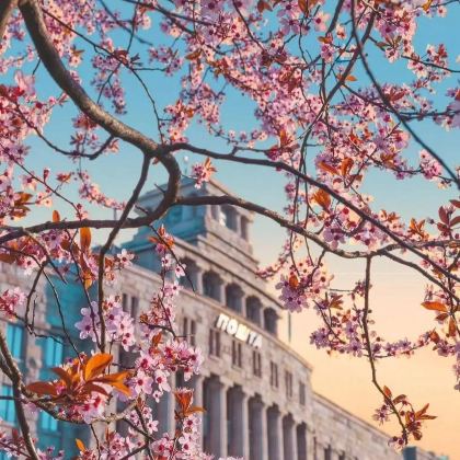 塞尔维亚5日4晚拼小团