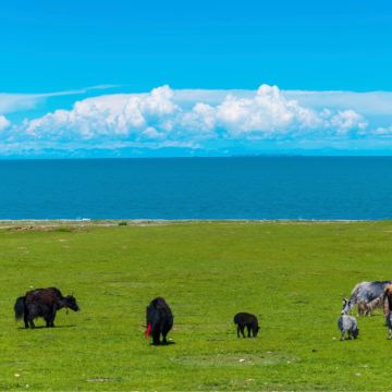 西宁+格尔木+茫崖+大柴旦+敦煌+张掖+嘉峪关14日13晚私家团
