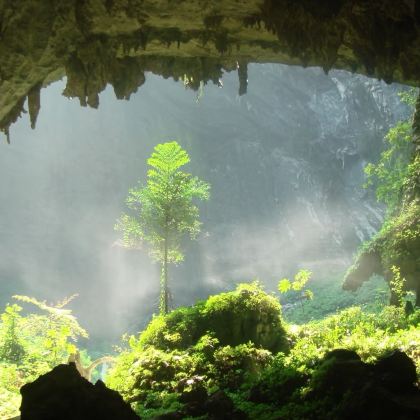 南宁+崇左+百色+巴马+河池+柳州7日6晚私家团