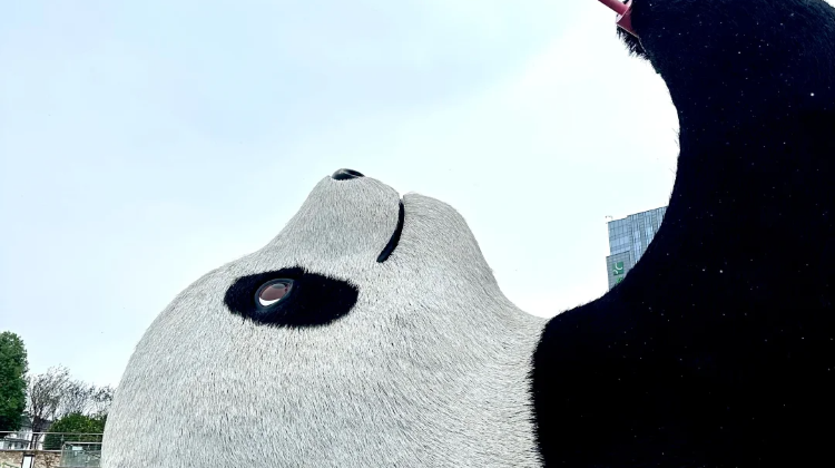 3D2N · Private Tours · Chengdu + Sanxingdui Museum + Chengdu Research Base of Giant Panda Breeding
