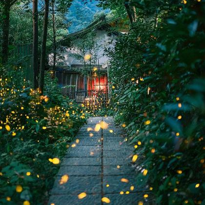 杭州西溪国家湿地公园+千岛湖酉坞里萤火虫主题公园+梦幻千岛湖·时光隧道+普陀山风景区7日6晚私家团