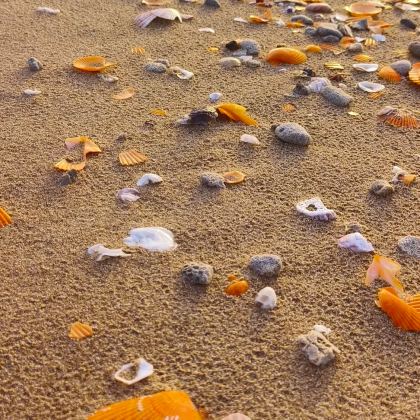 湛江+中国大陆南极村3日2晚跟团游