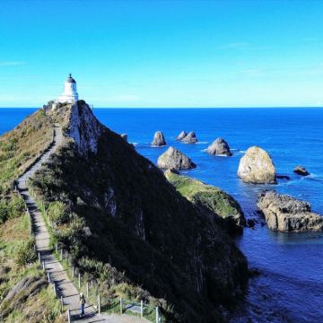 新西兰惠灵顿+皇后镇+福克斯冰川镇+因佛卡吉尔16日15晚自由行