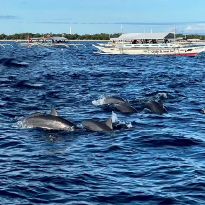菲律宾宿务+薄荷岛+巴里卡萨岛6日5晚跟团游