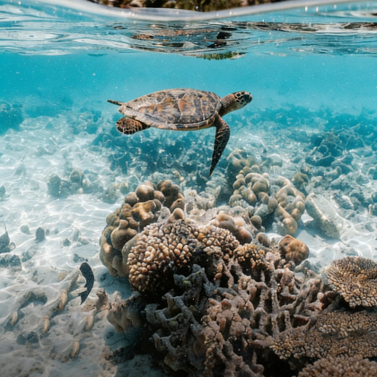 马来西亚吉隆坡+仙本那+波德申9日8晚私家团