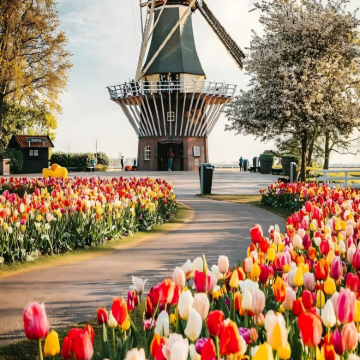 荷兰+法国12日11晚自由行