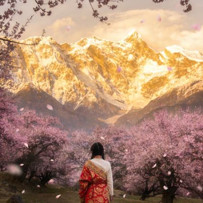 林芝+羊卓雍错+纳木措景区4日3晚私家团