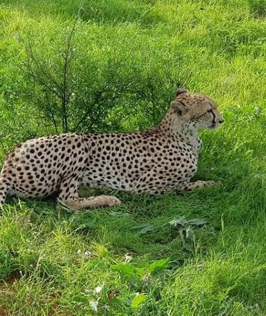 2D1N • Safari-Tsavo east national park -2 days 1 night