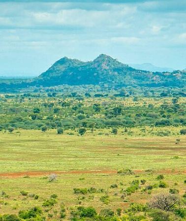 3D2N • 3-Day Meru National Park Private Guided Safari Tour