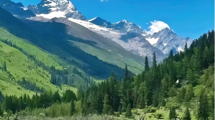3D2N · Private Tours · Immersive top 3 Western Sichuan highlights - Mt. Siguniang, Bipenggou, Dagu Glacier - one-stop for snow peaks, glaciers, alpine lakes, grasslands & rhododendrons.