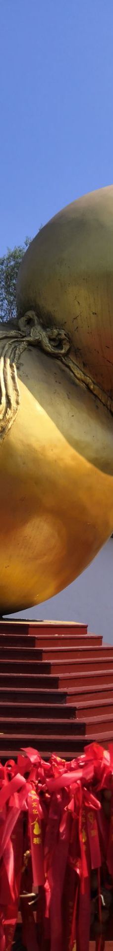 溱湖国家湿地公园-泰州