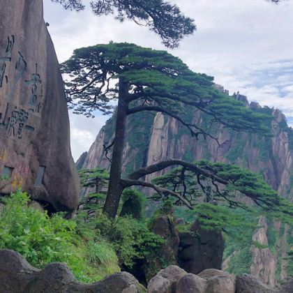 黄山2日1晚跟团游