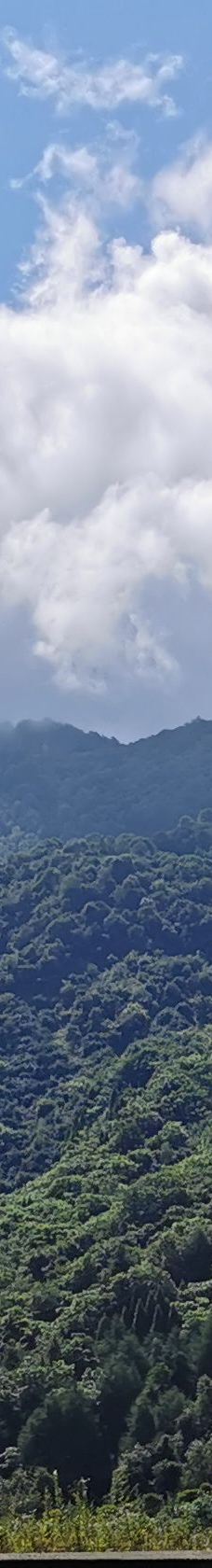 卧龙中华大熊猫苑神树坪基地-汶川