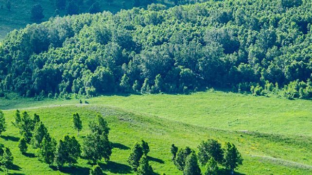 5-Day Northern China Private Tour from Beijing·Chengde Mountain Resort, Simatai Great Wall, Saihanba | Grassland Mongolia Nadam Festival | Ewenki Reindeer Tribe Experience