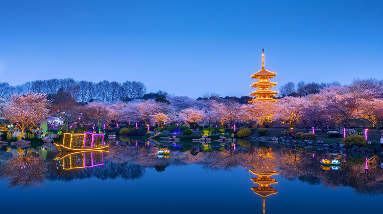 武汉+黄鹤楼+武当山+神农架+长江三峡+三峡大坝9日8晚私家团·【私家定制·奢牌5钻自选」英雄武汉@东湖听涛+登黄鹤楼+过船闸游大坝「神农架&登华中屋脊/爱在北纬31度，邂逅大熊猫」爬太子坡·登金顶金求福，专属管家