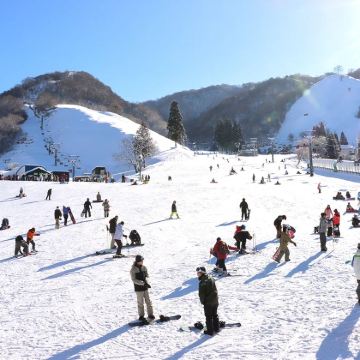 京都府+米原市+彦根市+近江八幡市2日1晚私家团